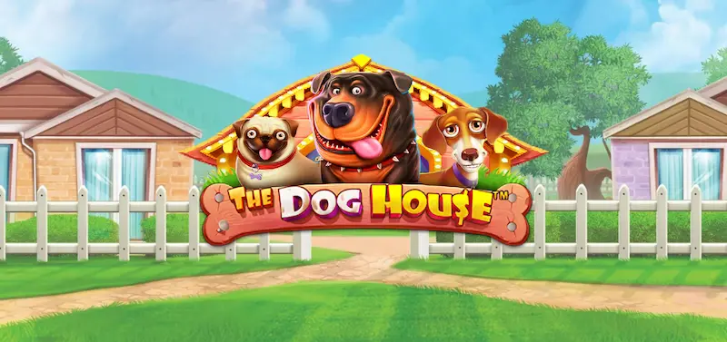 The Dog House