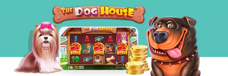 The Dog House